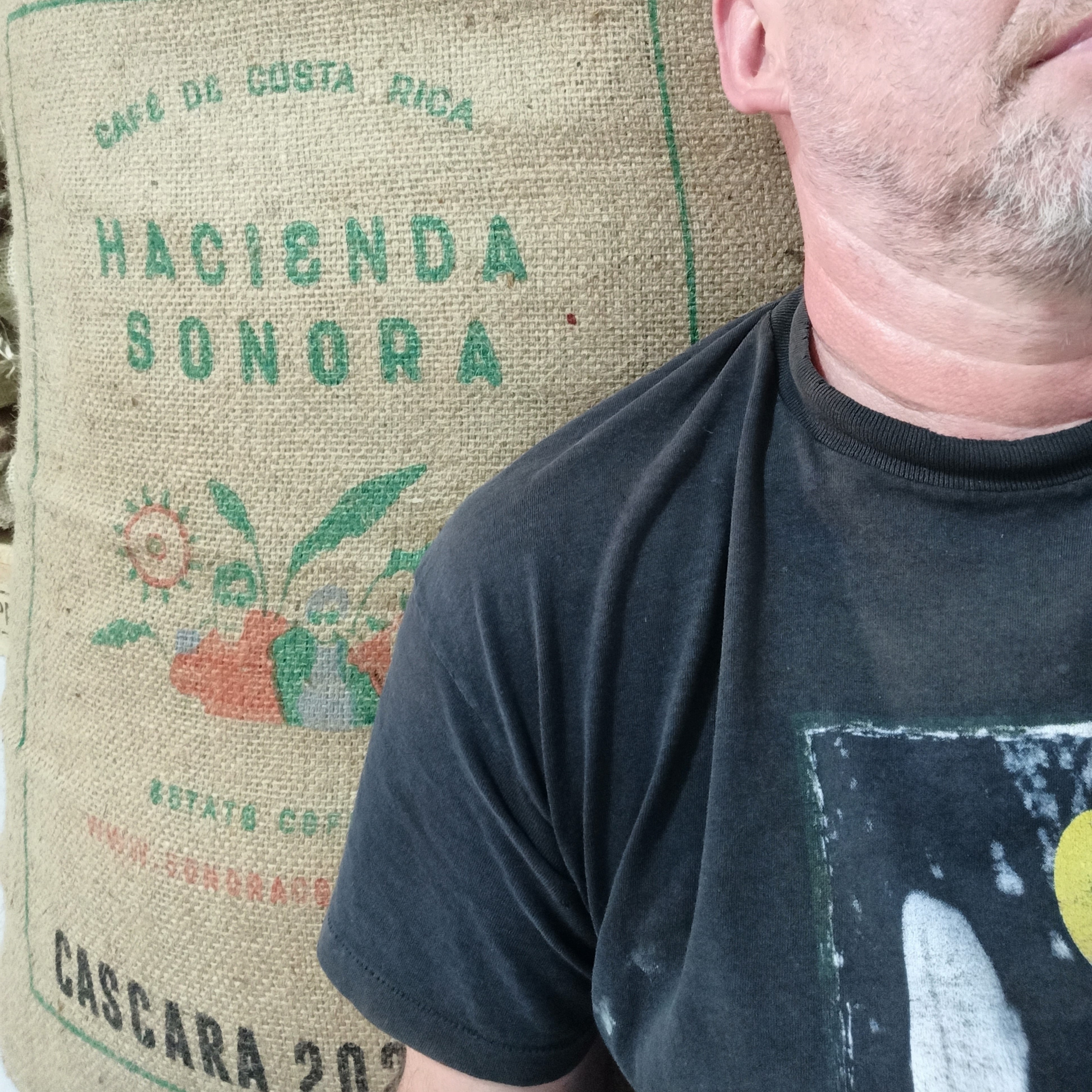 CASCARA COSTARICA HACIENDA SONORA