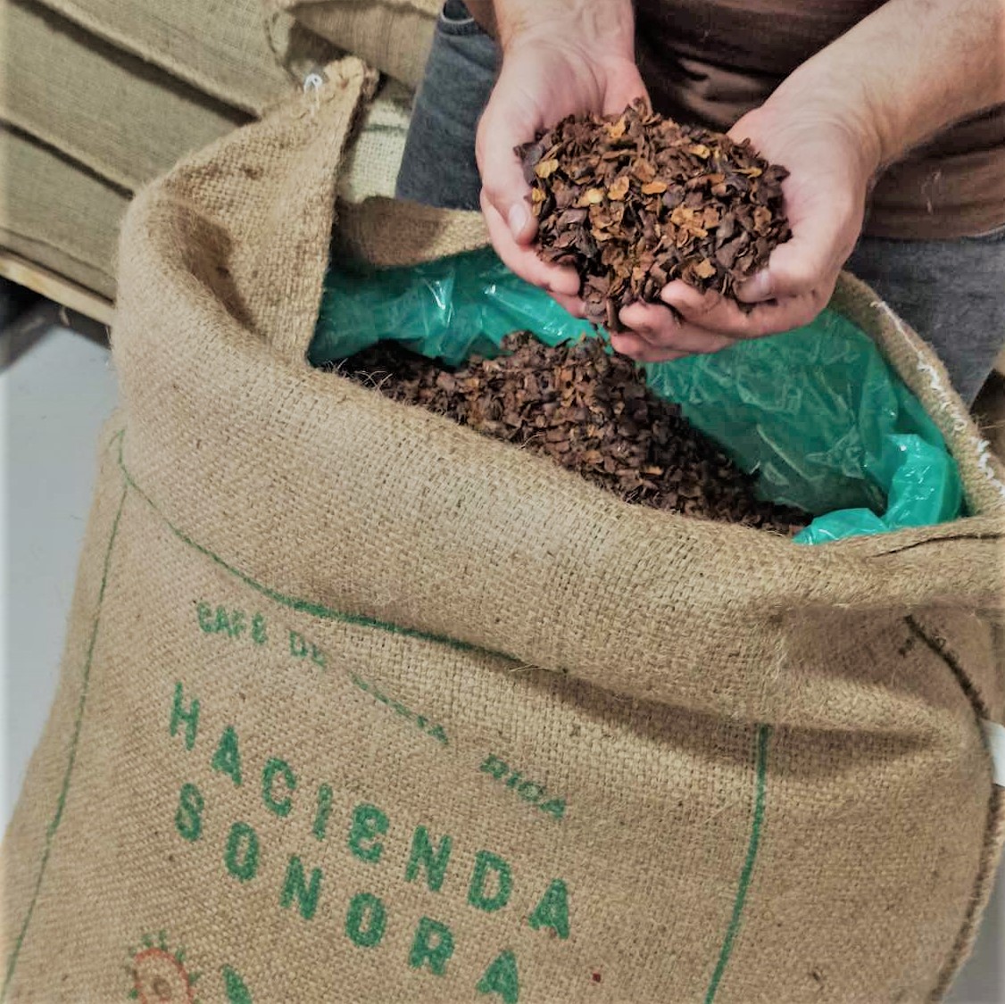 cascara